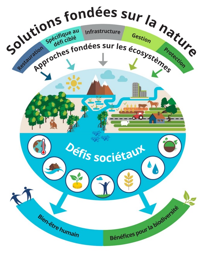 découvrez les principaux défis ménagers et explorez des solutions pratiques pour organiser, nettoyer et optimiser votre maison au quotidien.