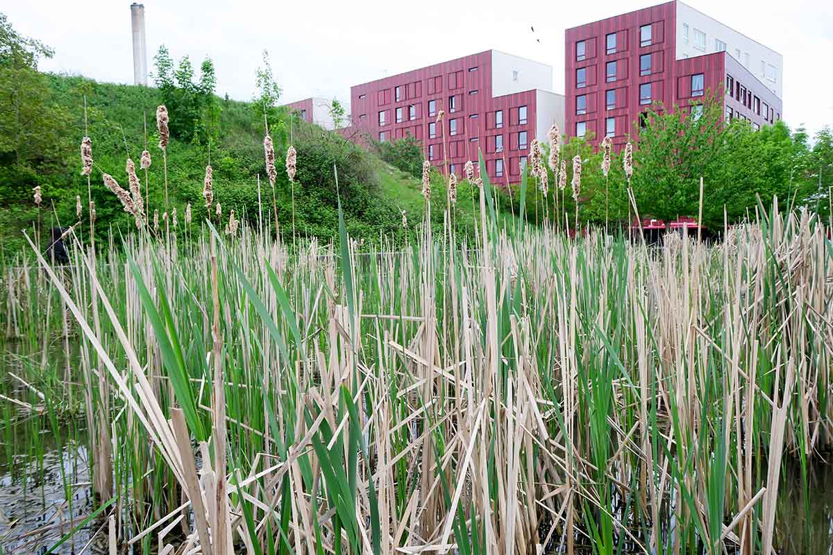 découvrez comment l'intégration de la nature dans l'urbanisme transforme le 75003 en un quartier plus vert, harmonieux et durable. solutions, projets et bonnes pratiques pour un équilibre entre espace urbain et environnement.