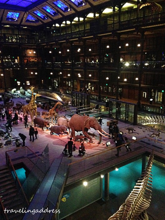 d&eacute;couvrez des id&eacute;es et conseils pour am&eacute;nager et d&eacute;corer un int&eacute;rieur dans le 5&egrave;me arrondissement de paris : tendances d&eacute;co, astuces pratiques et inspirations pour un espace unique et convivial.