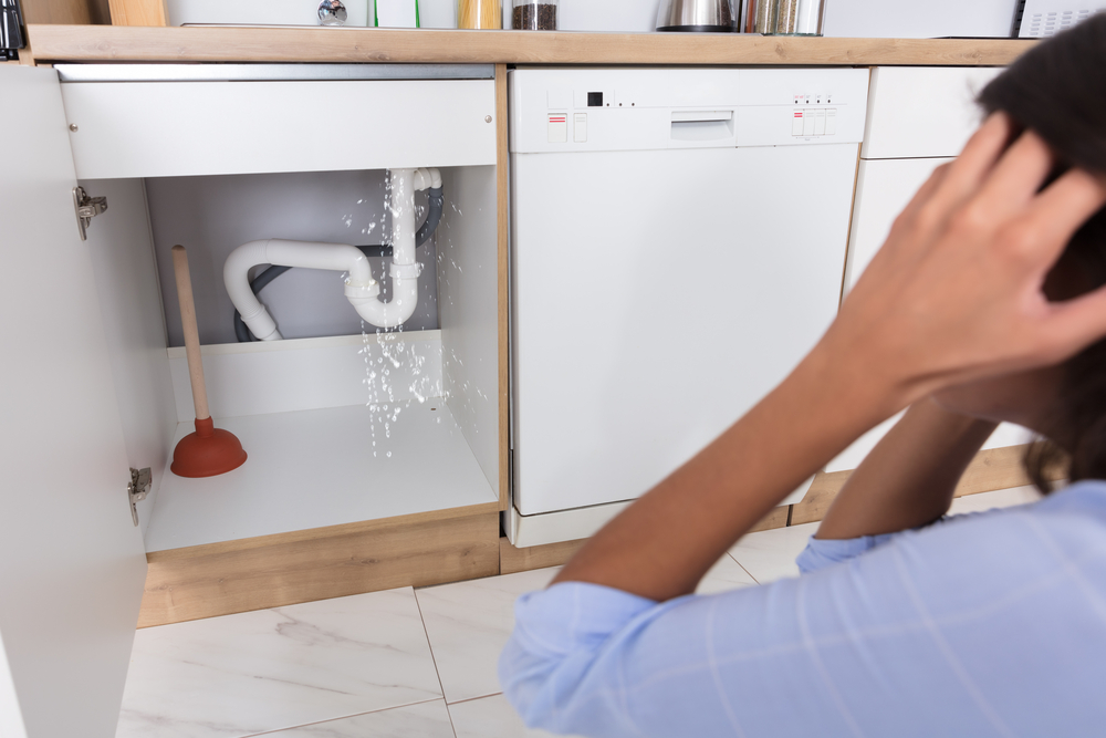 découvrez nos conseils et solutions efficaces pour une plomberie sans fuites. évitez les dégâts d'eau et assurez la durabilité de vos installations grâce à des astuces simples et professionnelles.