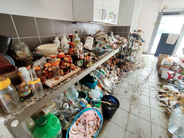 d&eacute;couvrez nos solutions de r&eacute;novation pour les logements insalubres dans le 19e arrondissement : diagnostics, travaux adapt&eacute;s et accompagnement pour am&eacute;liorer durablement votre habitat.