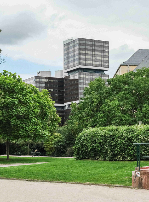 d&eacute;couvrez la transformation du quartier des olympiades : nouveaux espaces, modernisation urbaine et initiatives innovantes pour un cadre de vie attractif et dynamique &agrave; paris.