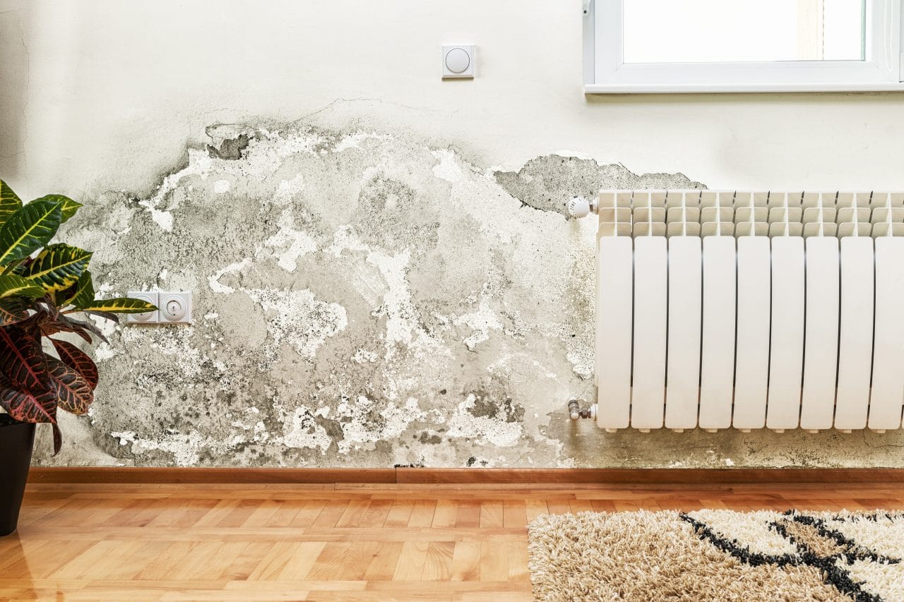 vous cherchez à rénover des murs porteurs à paris 13 ? notre équipe d'experts assure la modification, l'ouverture et la consolidation de murs porteurs avec sécurité et conformité. demandez votre devis gratuit pour vos travaux de rénovation à paris 13.